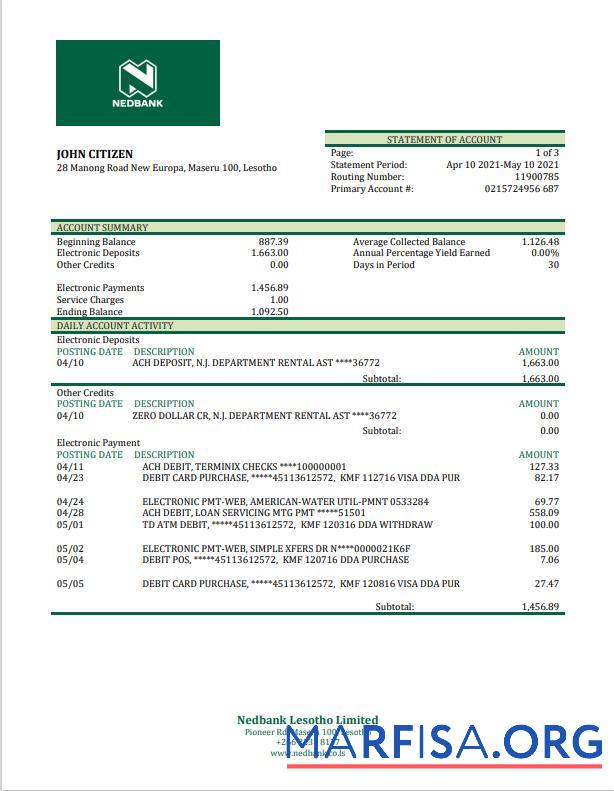 Realistic Lesotho Nedbank bank statement excel template